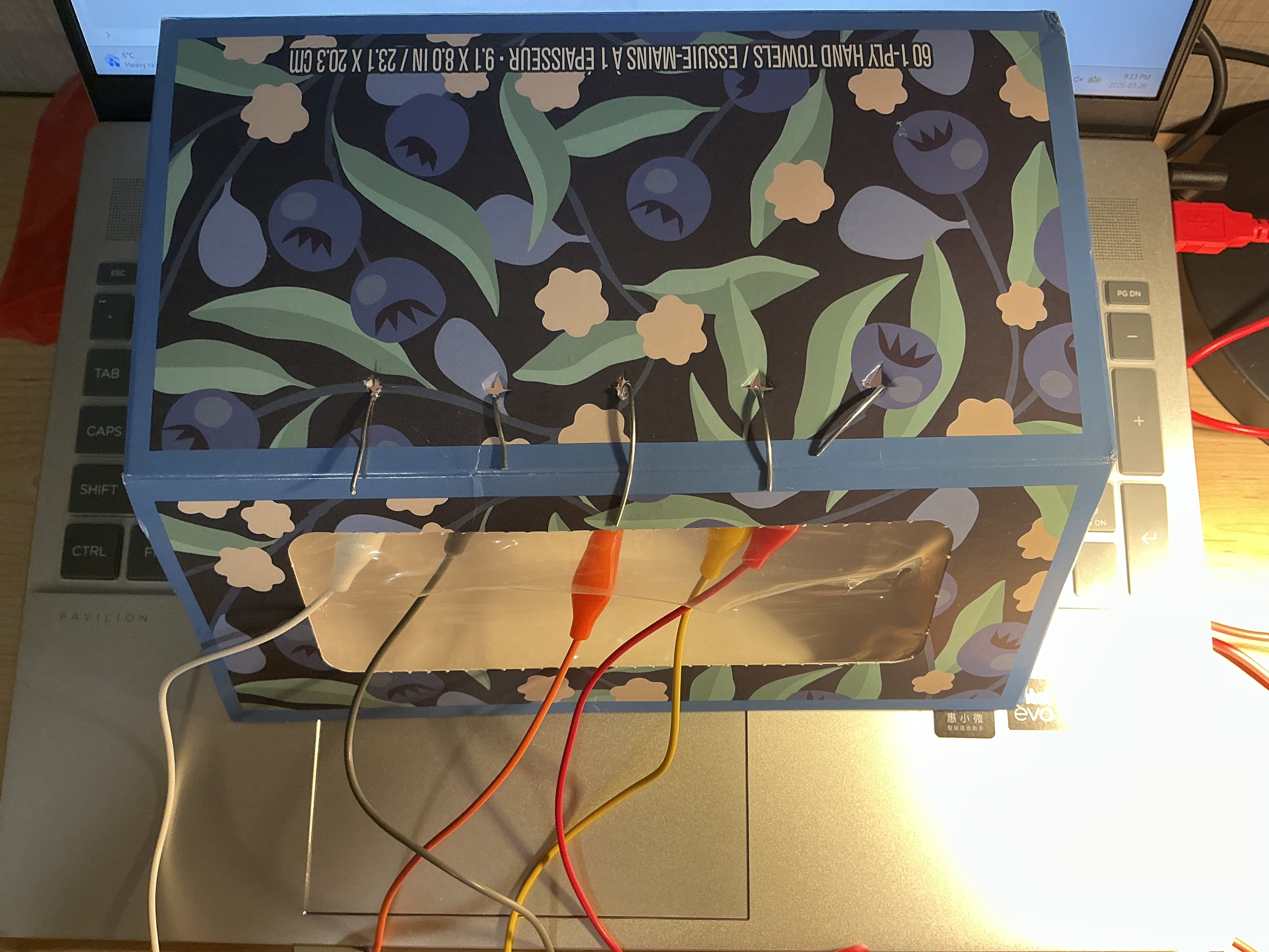 The image displays the floral box viewed from a low angle showing iron wire loops along the top and colored wires exiting the front face, using iron wire as the five conductive buttons.