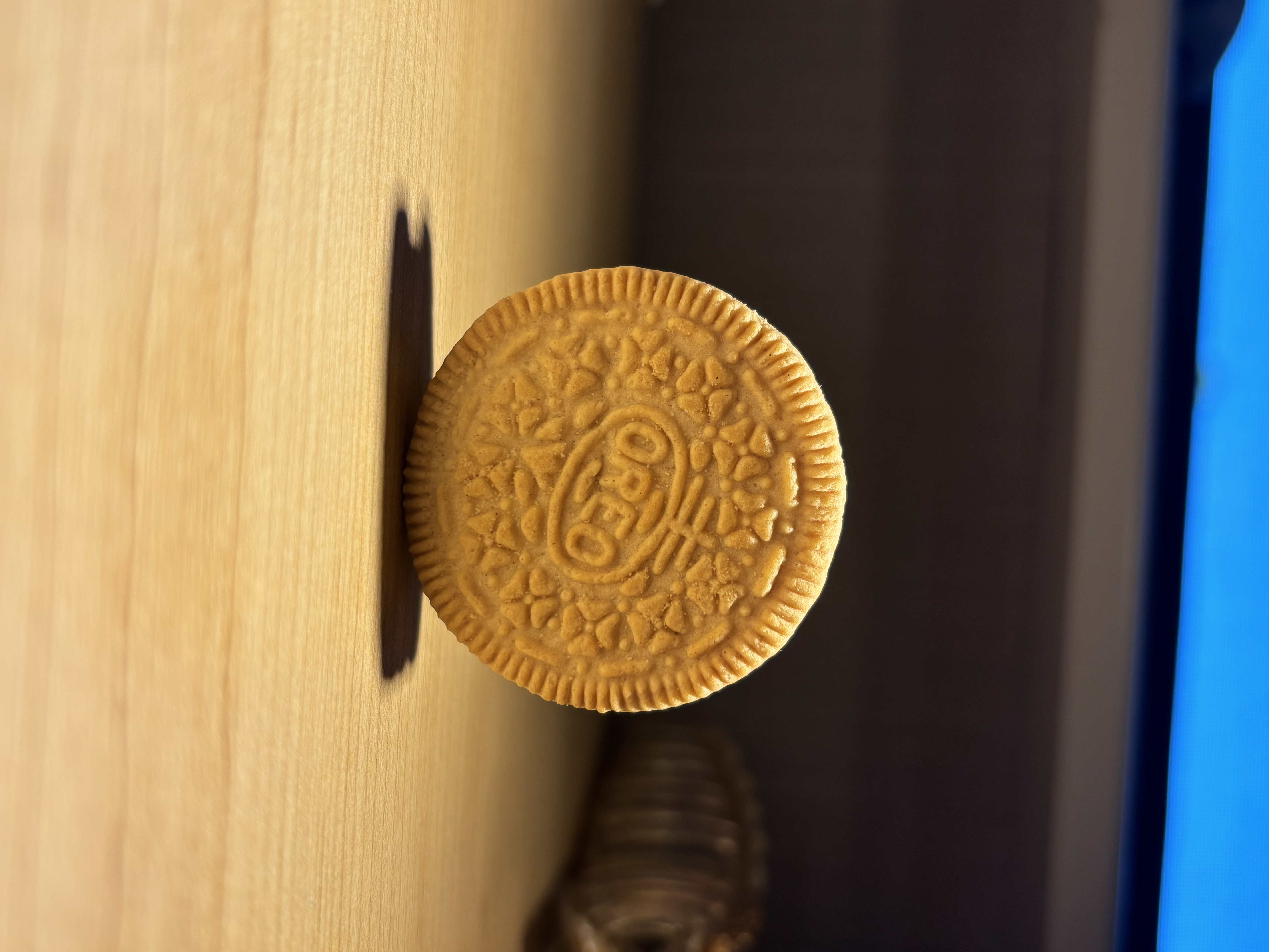 Under warm overhead lighting, the Oreo cookie highlights the shadows and volume of the biscuit.