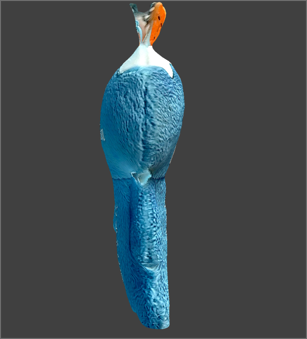 The image shows the side view of the scanned doll model within the software.